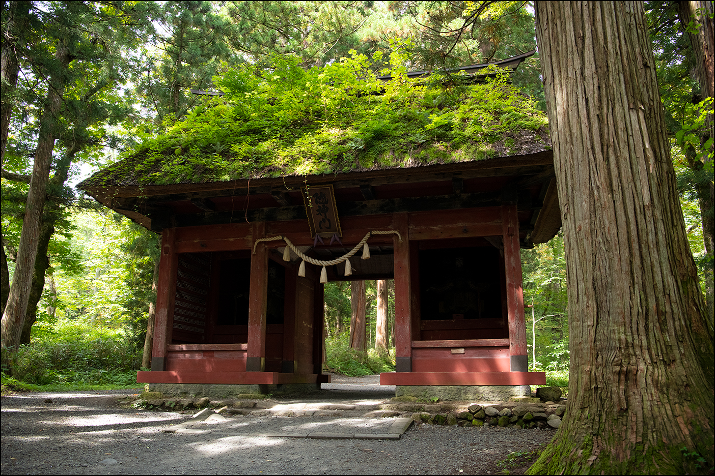 随神門