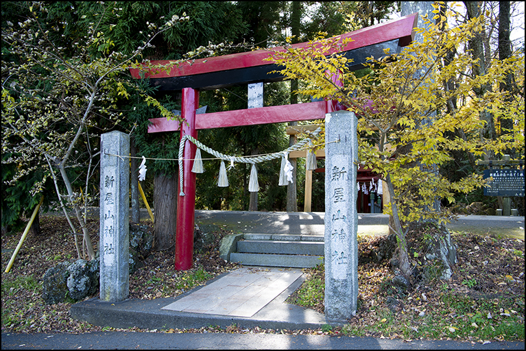 社号標に鳥居