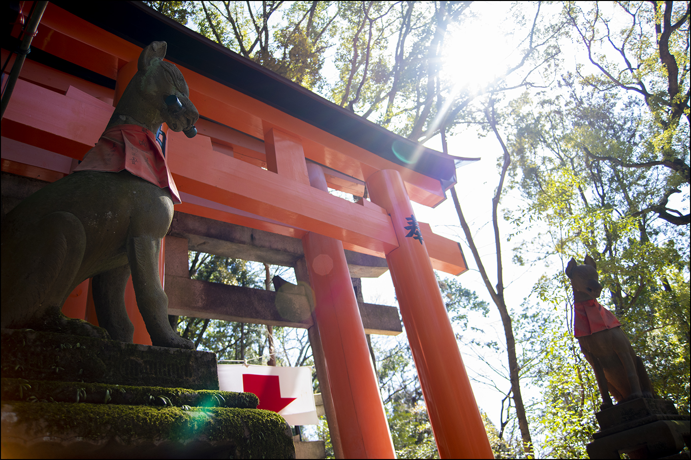 千本鳥居