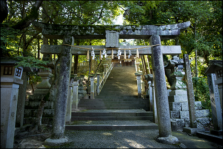 石段に鳥居