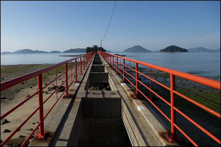 津島橋