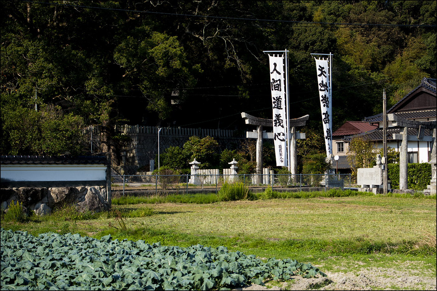 参道