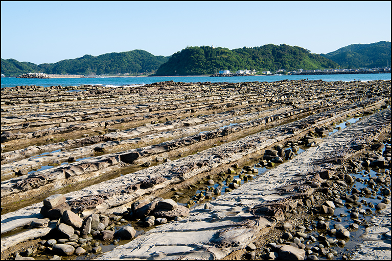 鬼の洗濯板
